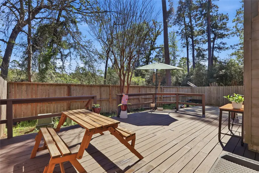 151 Anise Tree Place, The Woodlands, TX 77382 - #2