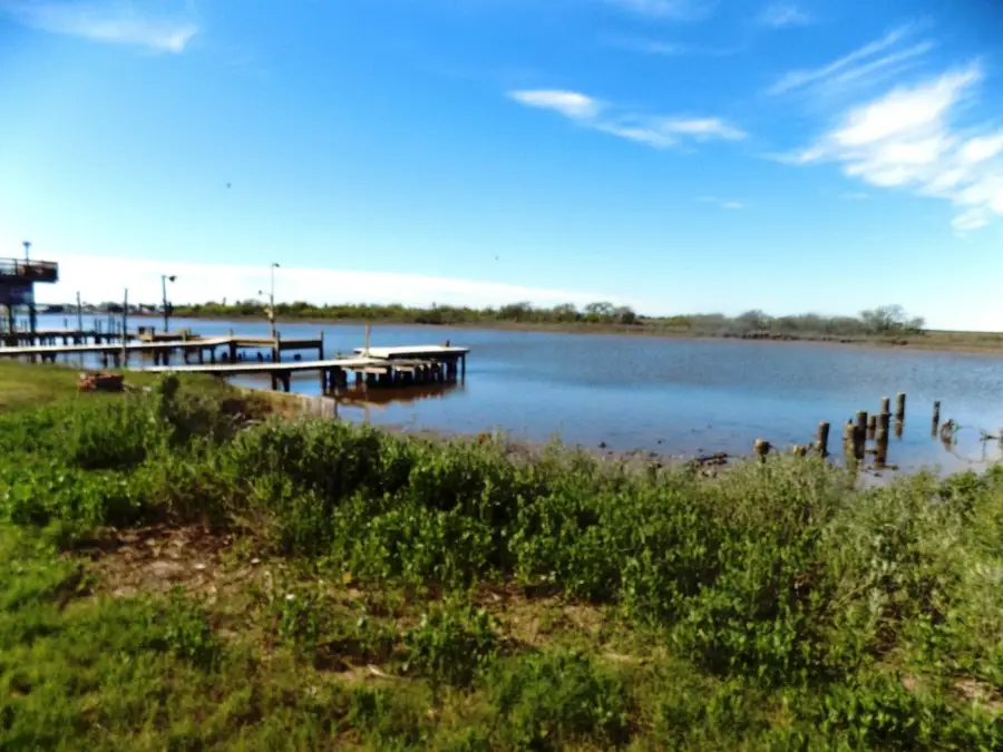 144 Cr 616 Seagull, Sargent, TX 77414 - #2