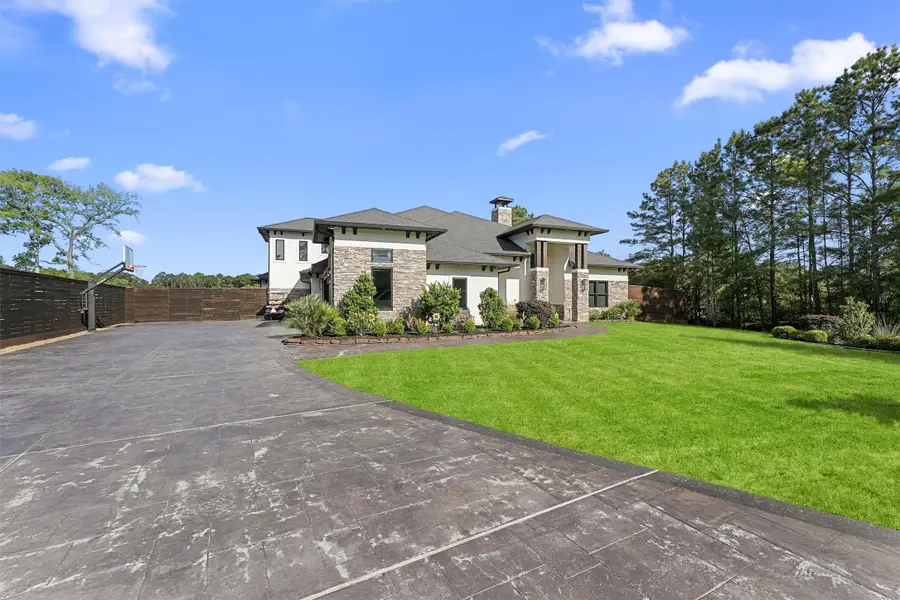 19399 Desna Drive, Porter, TX 77365 - #2