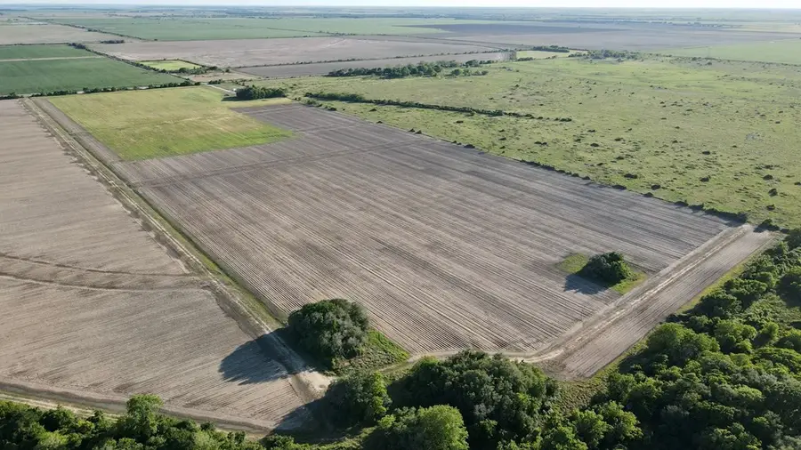 0 Cr 343 Road, Blessing, TX 77419 - #3