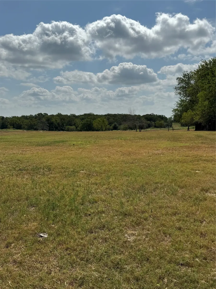 Tract 4 Fm 3060, Midway, TX 75852 - #3