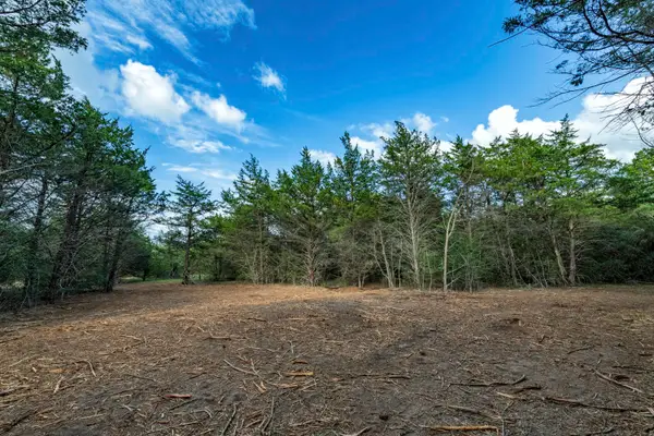 405 Vineyard View Trail - Lot 5, Carmine, TX 78932