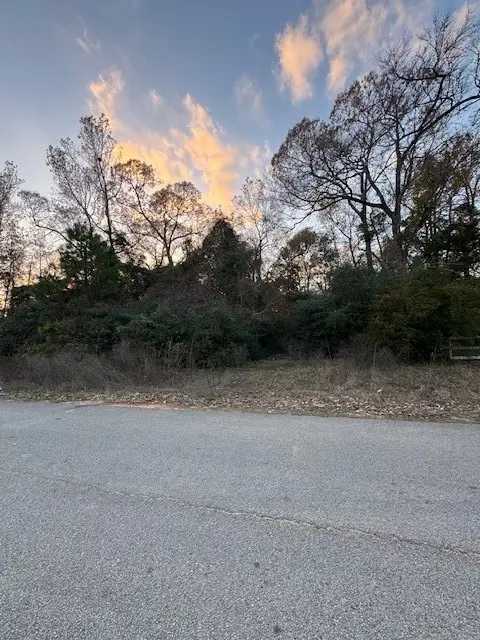 11305 Camp Creek Way, Willis, TX 77378