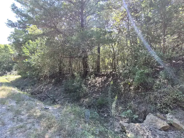 TBD Cedar Valley Dr, Coldspring, TX 77331