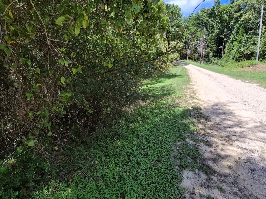 TBD Cedar Valley Dr, Coldspring, TX 77331 - #2