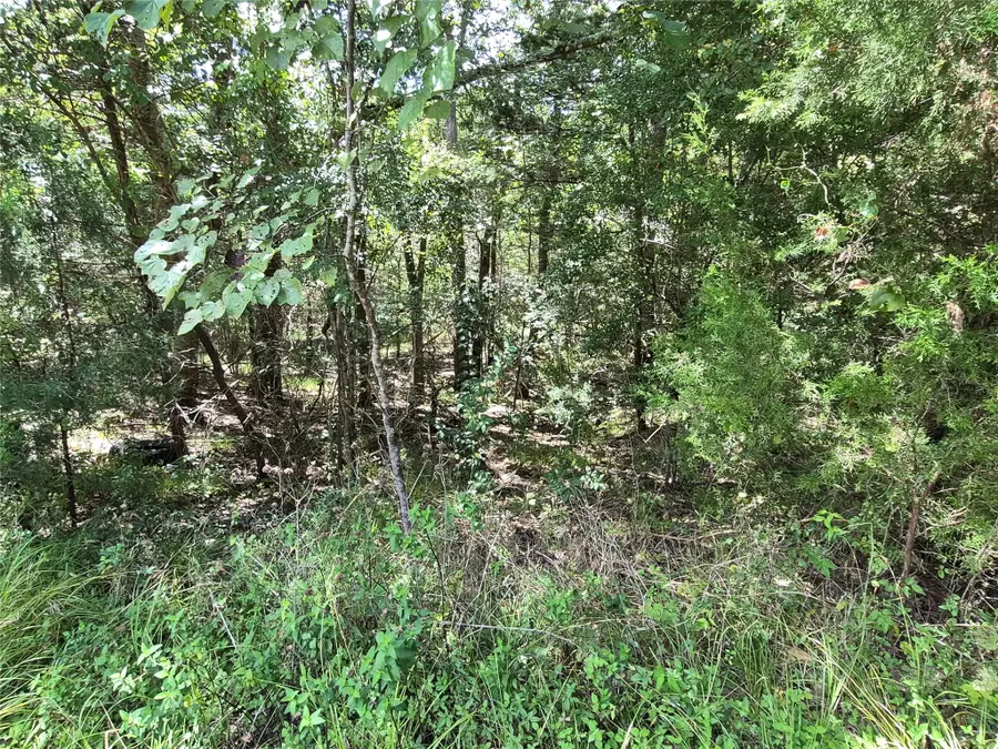 TBD Cedar Valley Dr, Coldspring, TX 77331 - #3