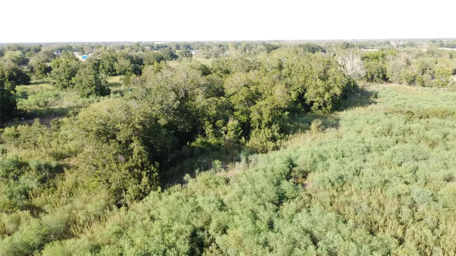 41123 Mt Zion Road, Brookshire, TX 77423 - #2