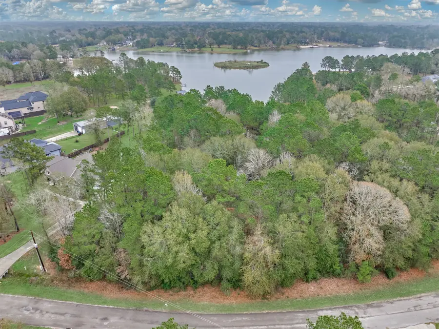 19310 Cabango Drive, Porter, TX 77365 - #2