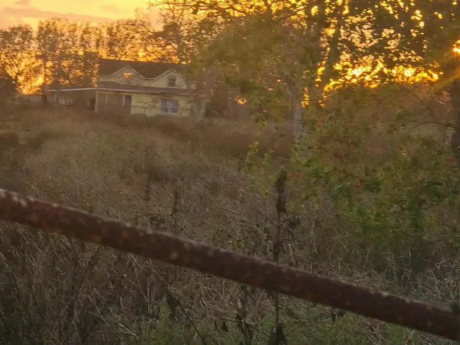 7402 Highway 71, Garwood, TX 77442 - #2