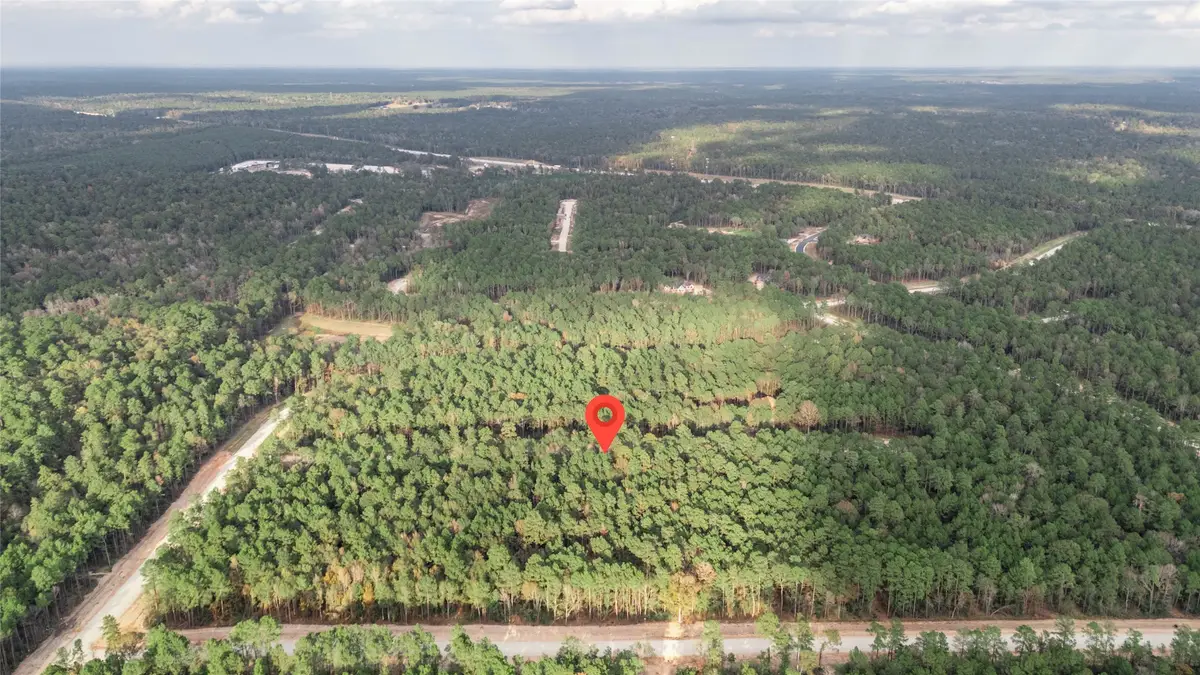 134 Splendid Road, New Waverly, TX 77358 - Image #1