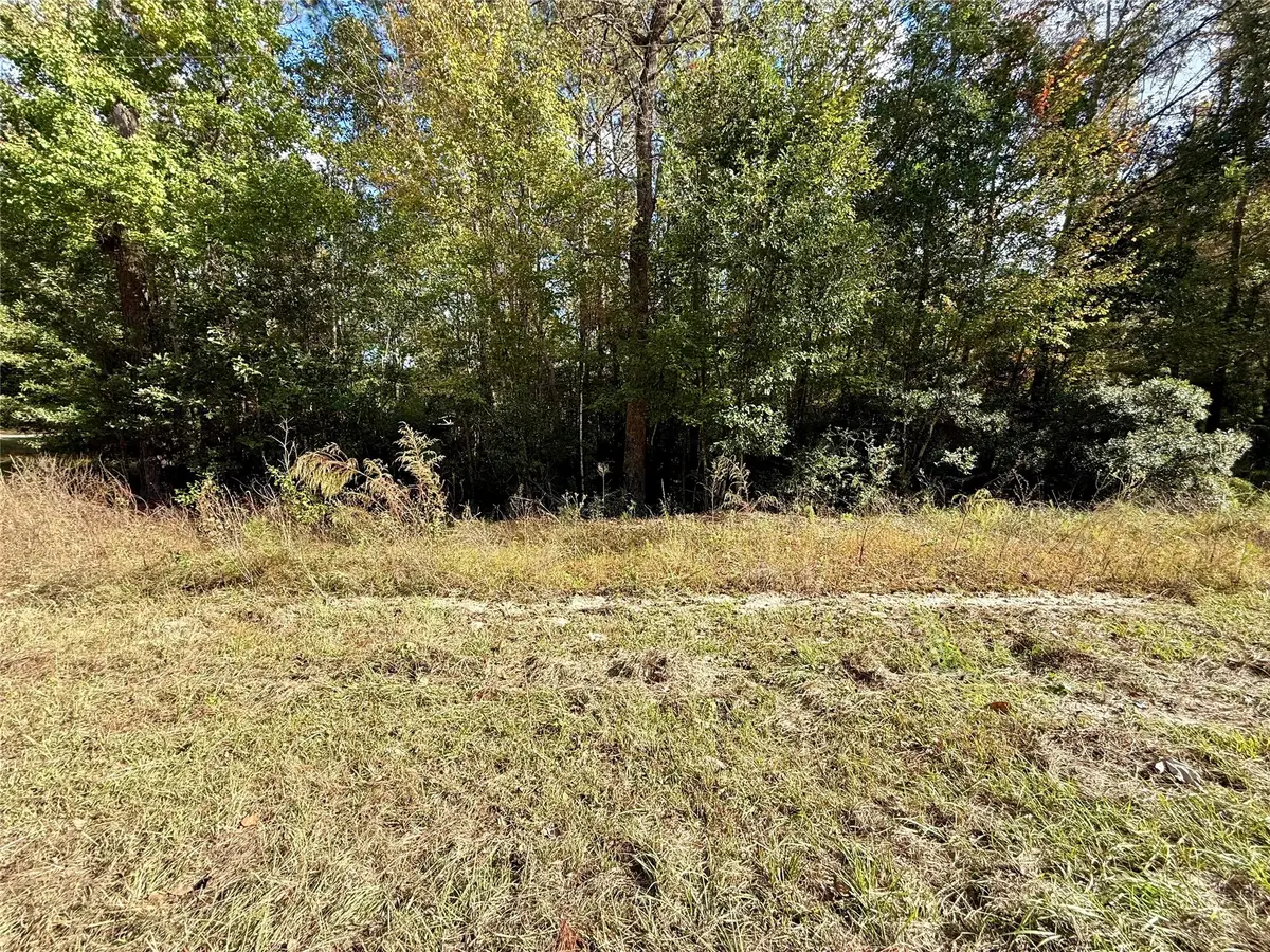 198 Bear Track Trail, Livingston, TX 77351 - Image #1