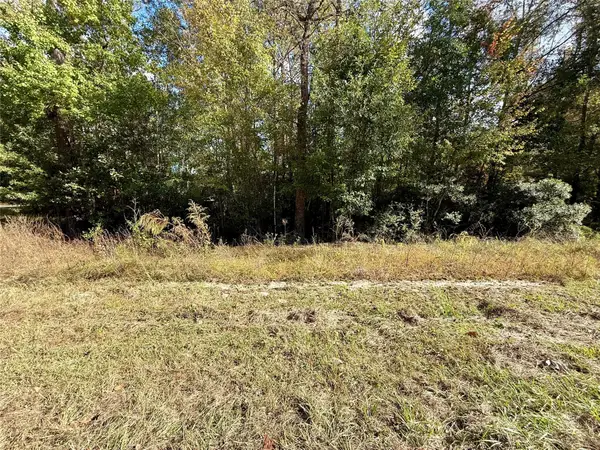 198 Bear Track Trail, Livingston, TX 77351