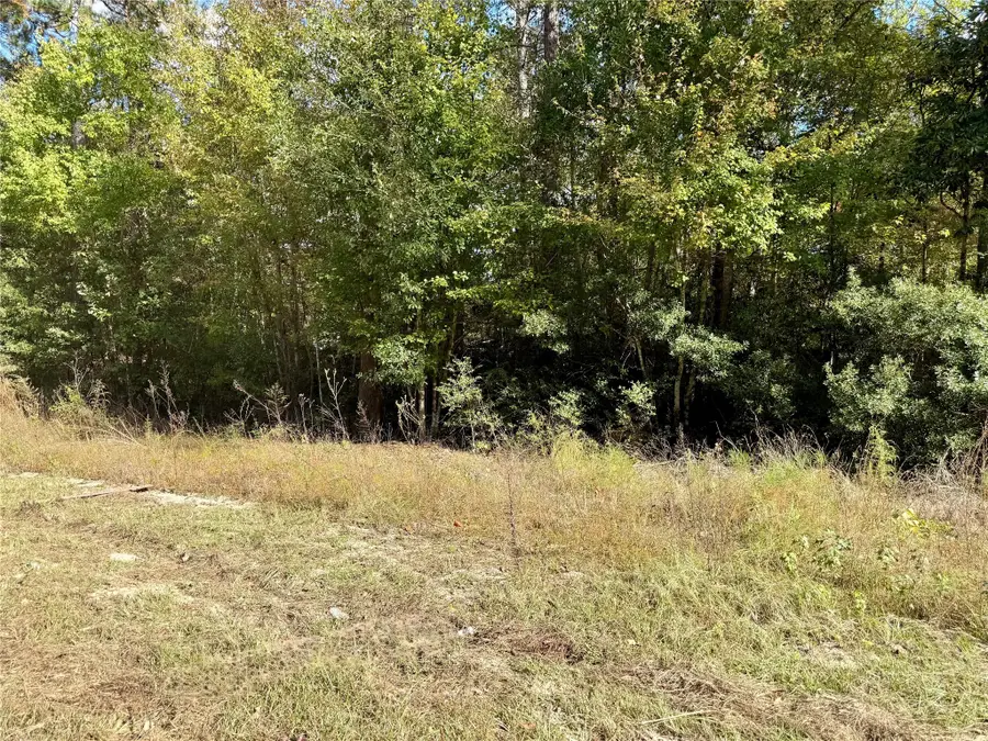 198 Bear Track Trail, Livingston, TX 77351 - Image #3