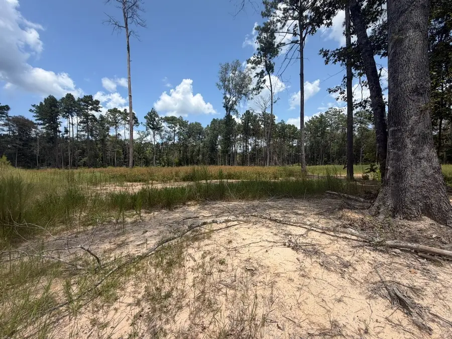 9870 Highway 326, Kountze, TX 77625 - #2