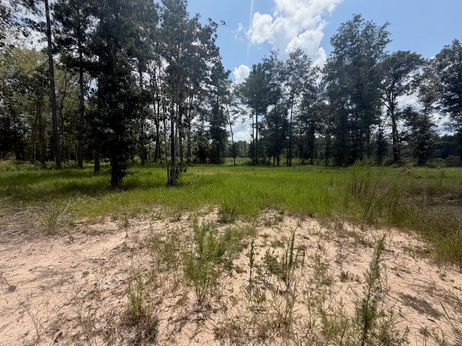 9870 Highway 326, Kountze, TX 77625 - #3