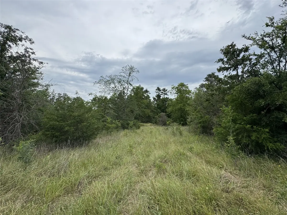 T4 Round Prairie Road, Huntsville, TX 77320 - Image #1