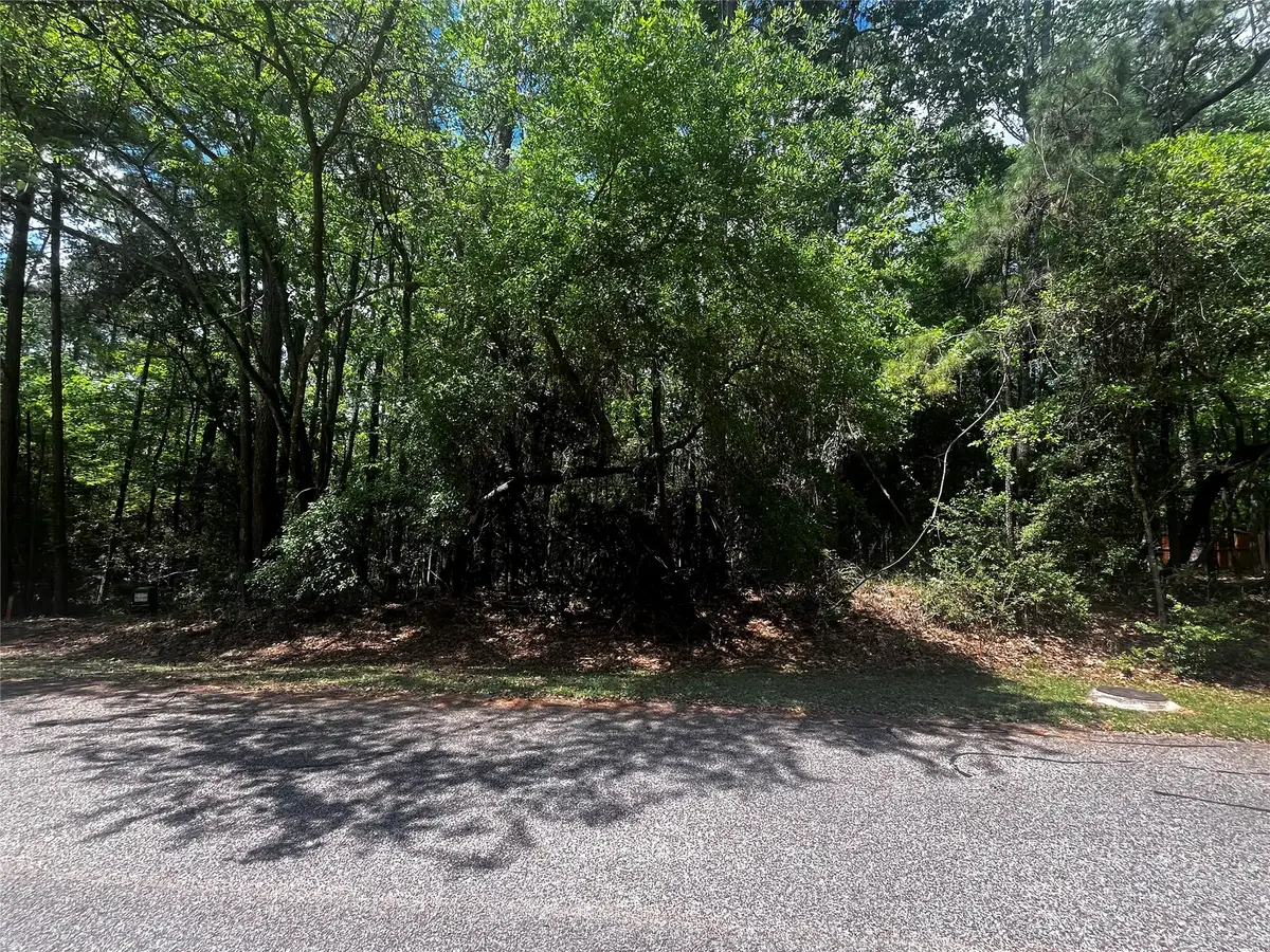 73 Sunny Hill Drive, Coldspring, TX 77331 - #1