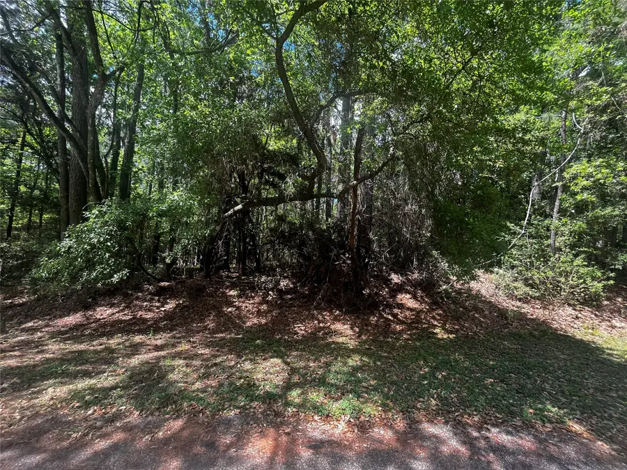 73 Sunny Hill Drive, Coldspring, TX 77331 - #3
