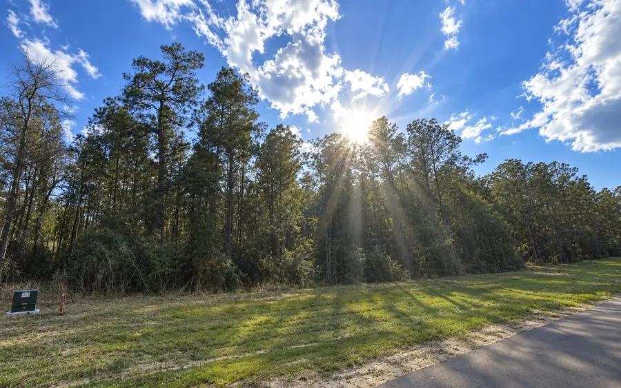 12939 Oak Barrel Road, Willis, TX 77378 - #3