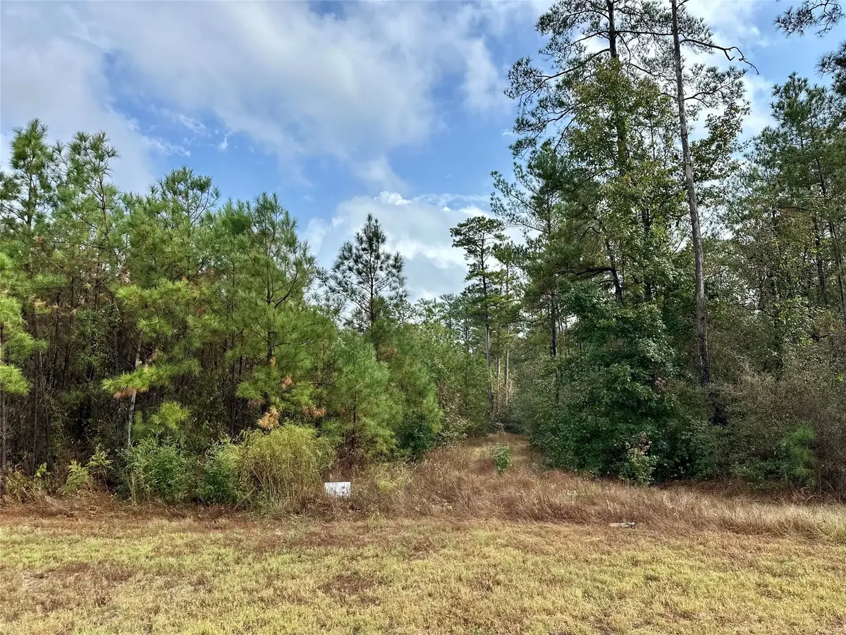 15886 Wood Grove Way, Willis, TX 77378 - #1
