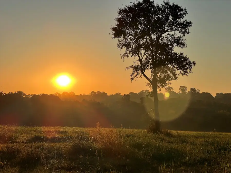 17 AC St Beulah Chapel Rd, Montgomery, TX 77316 - Image #3