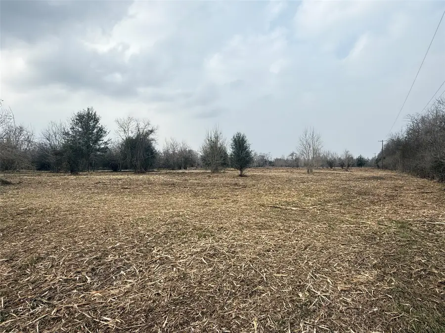 Lot 11 County Road 30, Angleton, TX 77515 - #3