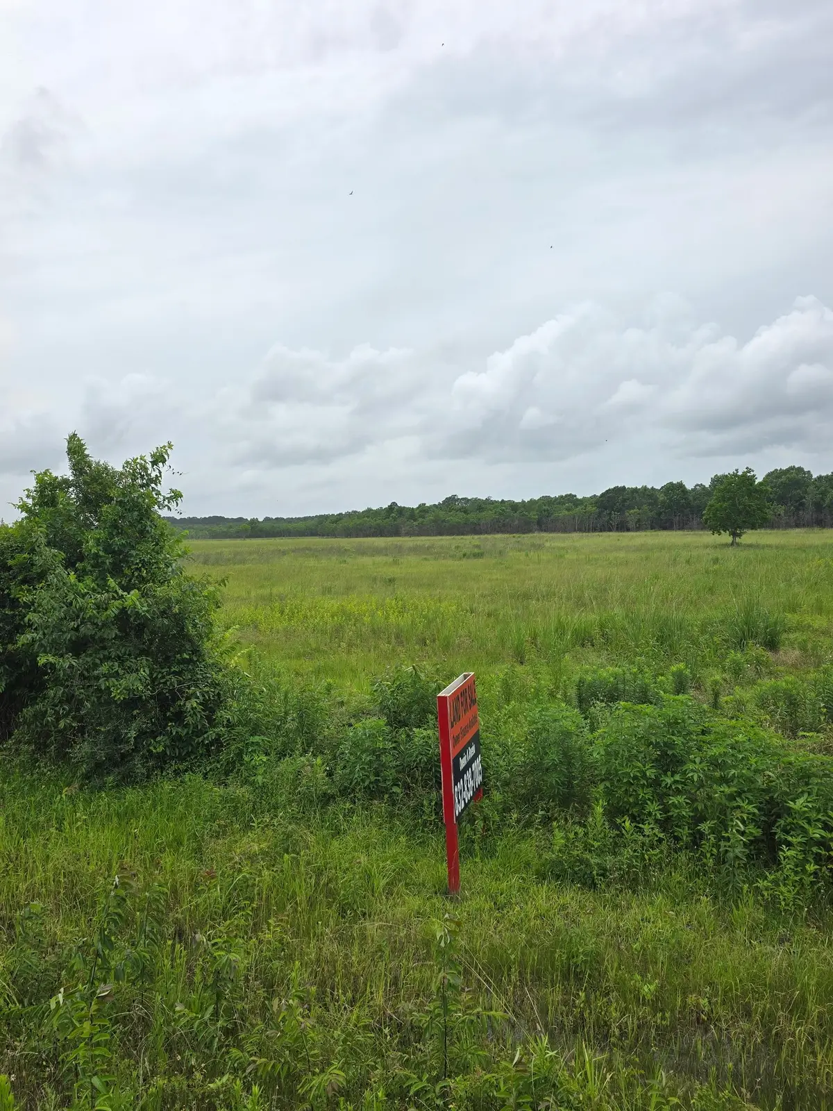 2025 Farm To Market 770 N, Liberty, TX 77575 - #1