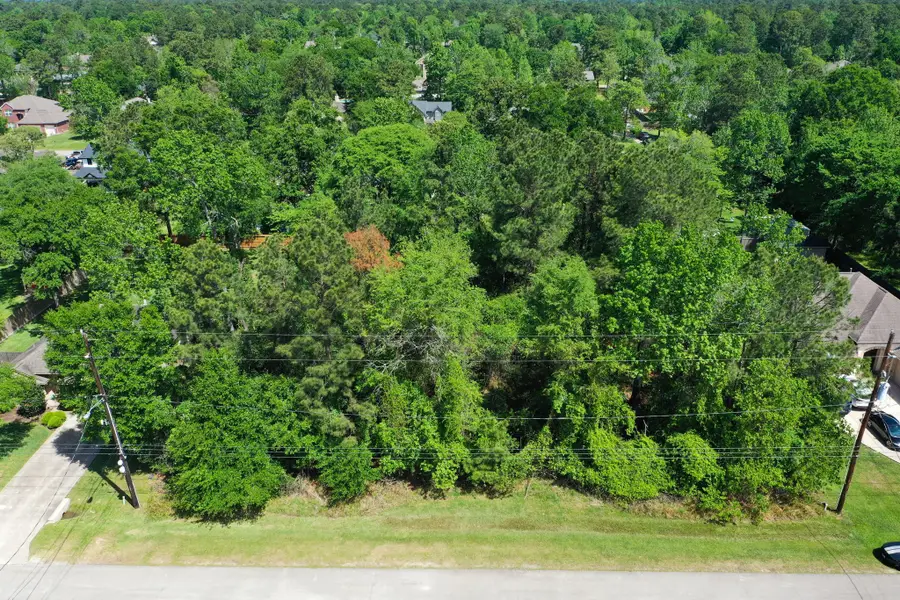 L43 Durango Drive, Magnolia, TX 77354 - #3