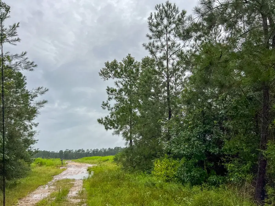 10 Fm 1276, Livingston, TX 77351 - Image #3