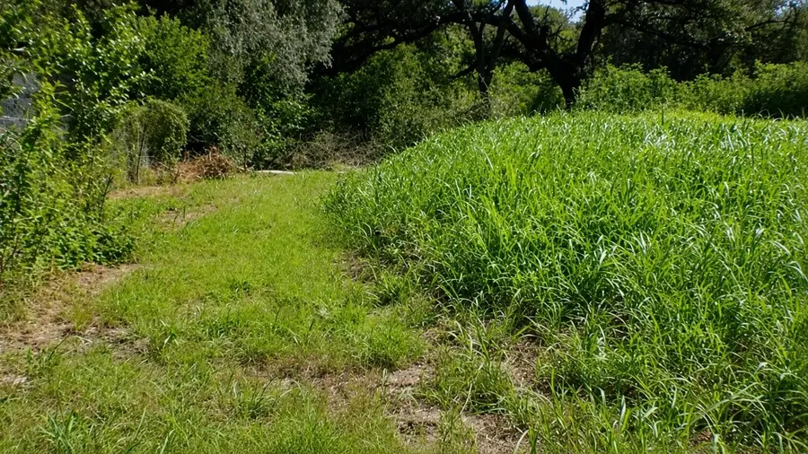 Lot 6 SW Blk 1st Avenue, Waelder, TX 78959 - #3