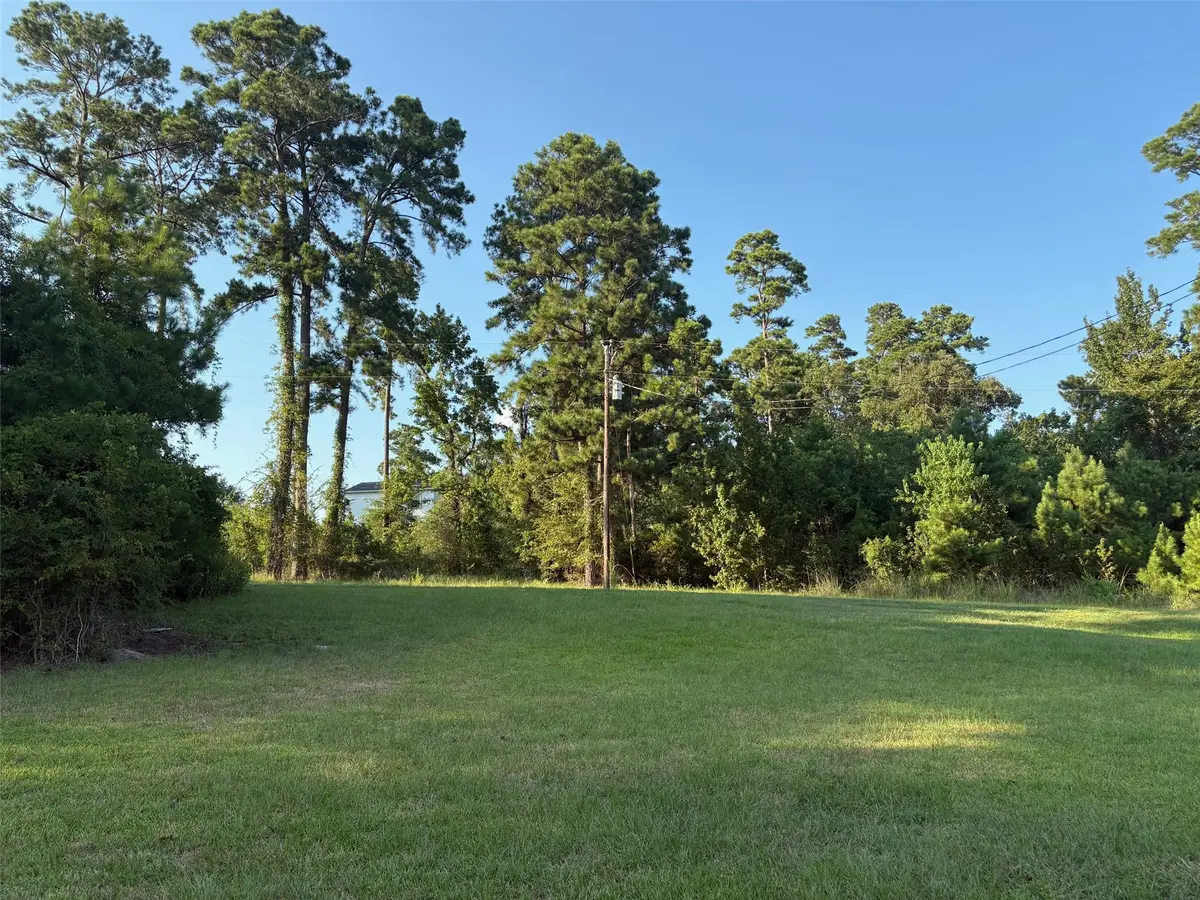 145 Pine Grove Drive, Livingston, TX 77351 - #1