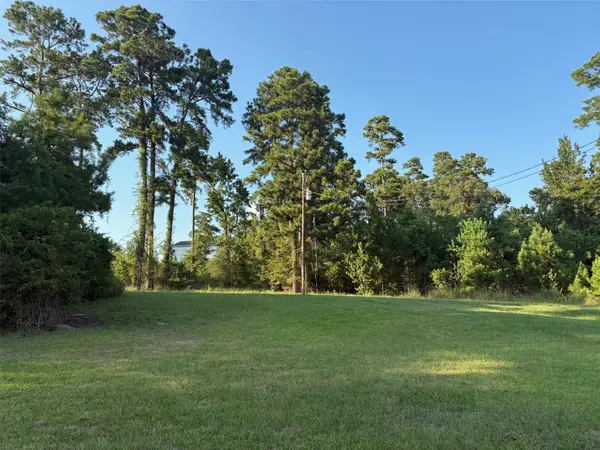 145 Pine Grove Drive, Livingston, TX 77351