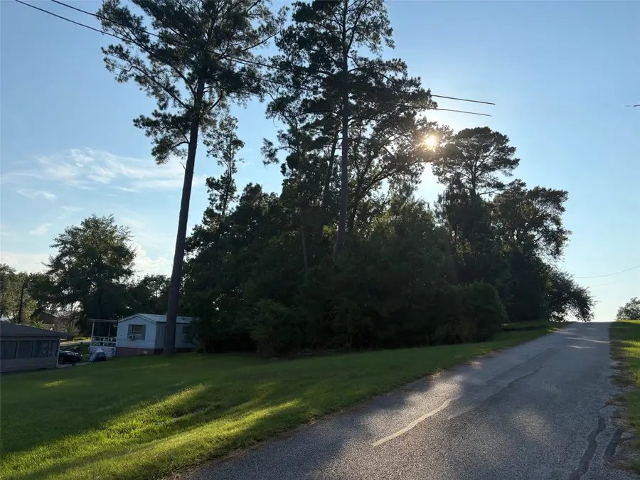 145 Pine Grove Drive, Livingston, TX 77351 - #3