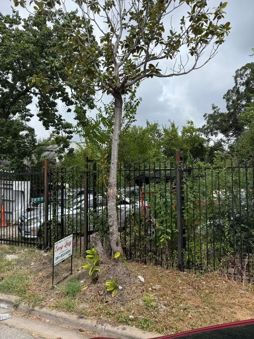 8918 Bellflower Street, Houston, TX 77063 - #3