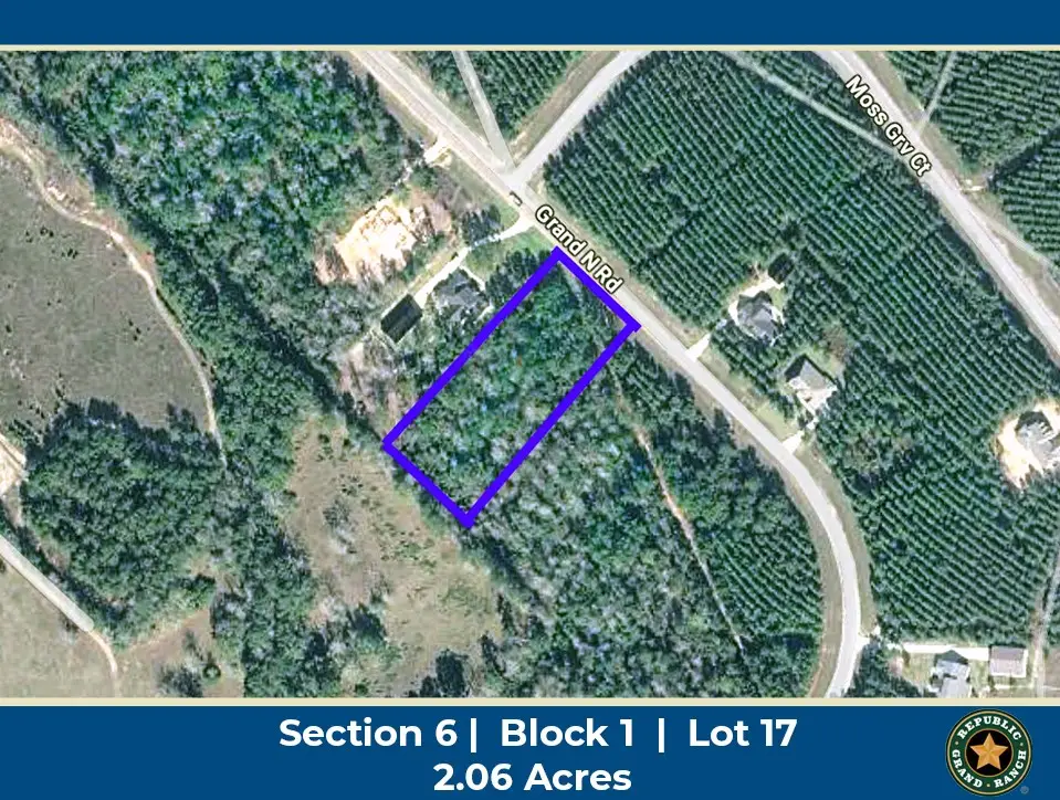 11694 Grand North Road, Willis, TX 77378 - #1