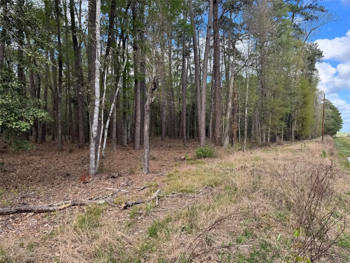 0 County Road 2317, Dayton, TX 77535 - Image #1