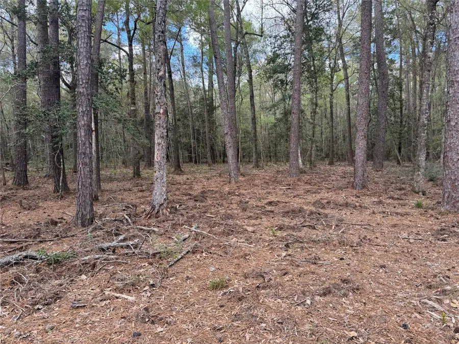 0 County Road 2317, Dayton, TX 77535 - Image #2