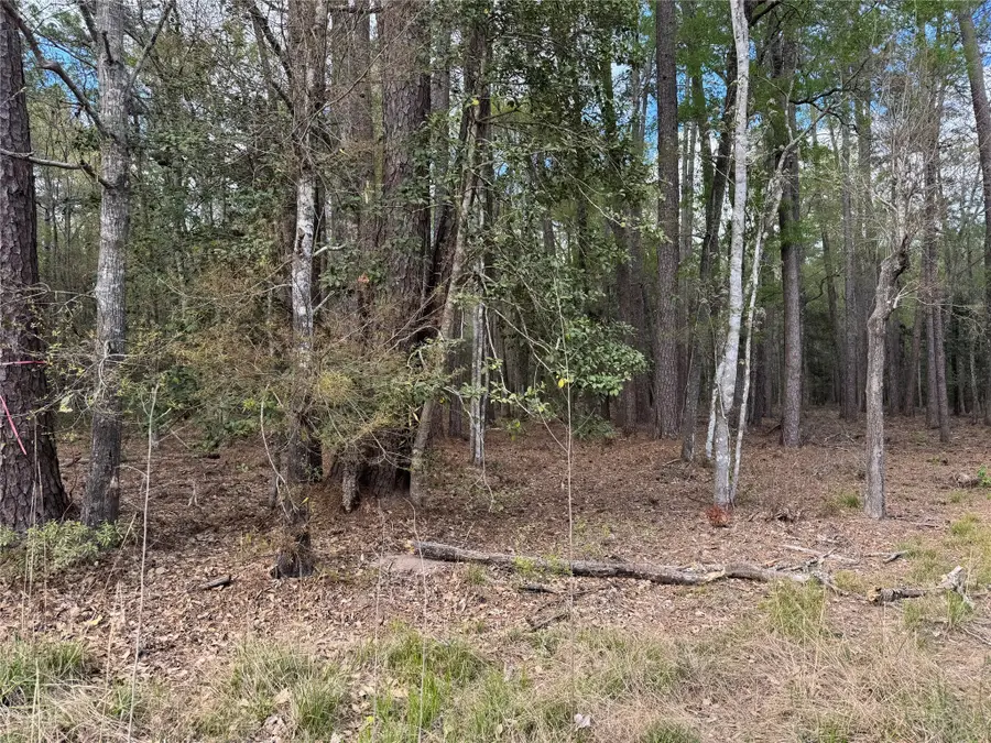 0 County Road 2317, Dayton, TX 77535 - Image #3