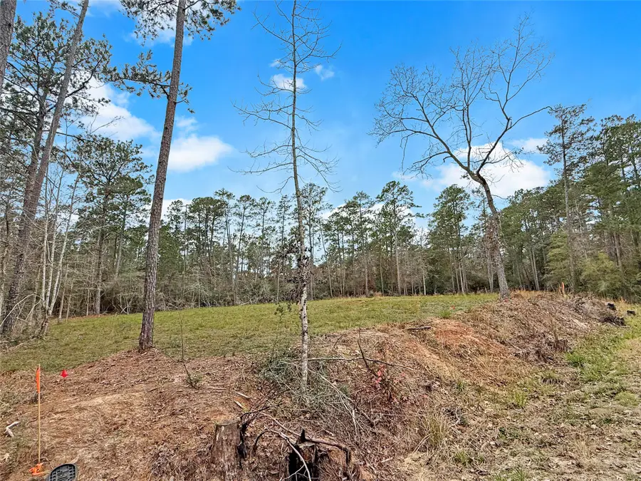 252 Amblewood Drive Drive, Brookeland, TX 75931 - #2