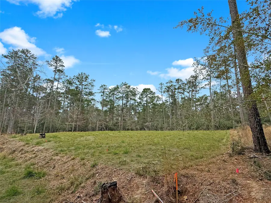 252 Amblewood Drive Drive, Brookeland, TX 75931 - #3