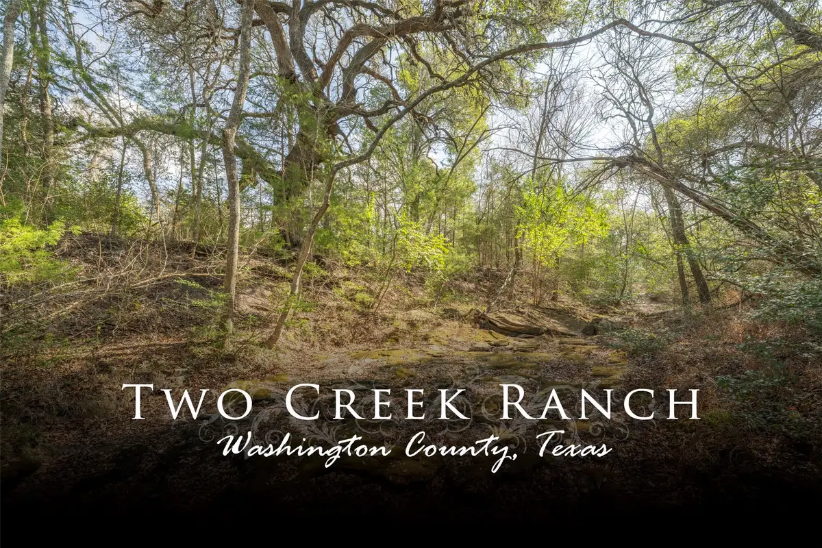 6807 Winedale Road, Burton, TX 77835 - #1