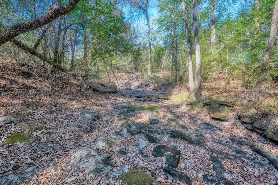 6807 Winedale Road, Burton, TX 77835 - #3