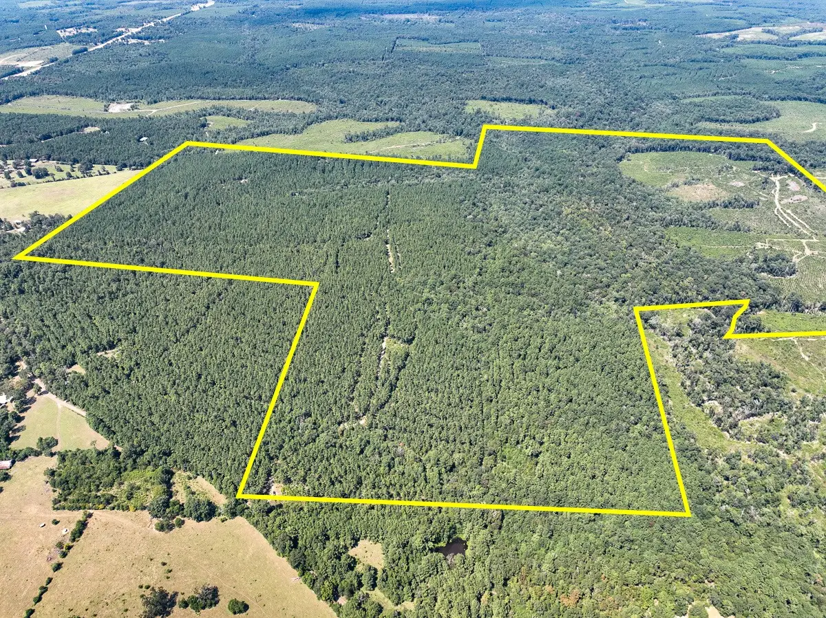 0 Cr 314, Kirbyville, TX 75956 - #1