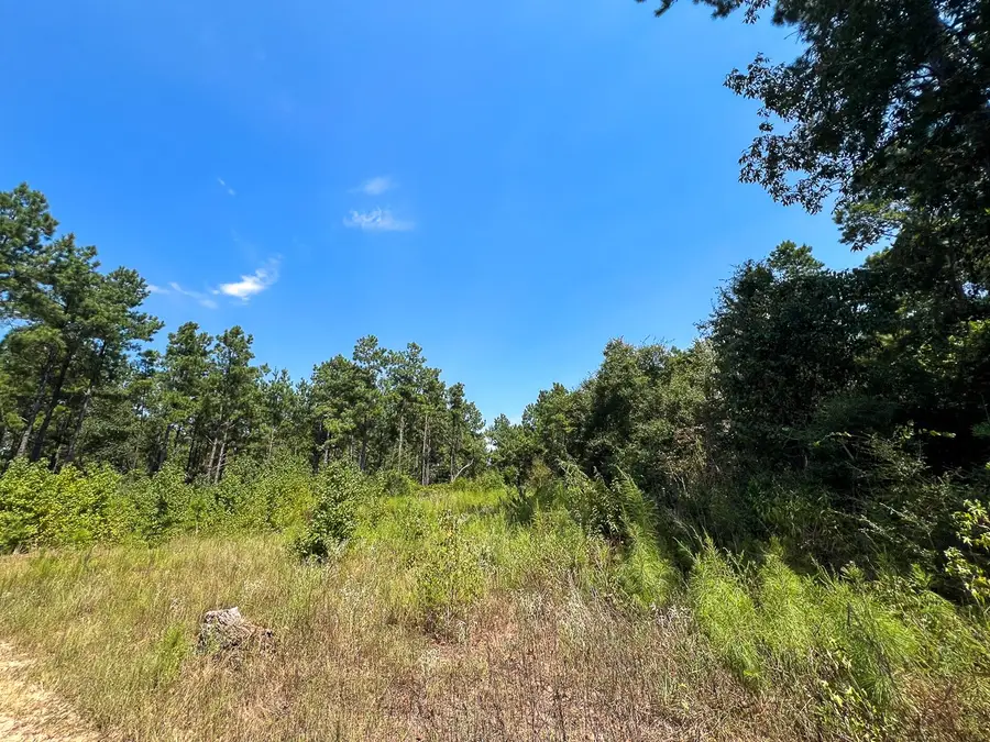 0 Cr 314, Kirbyville, TX 75956 - #3
