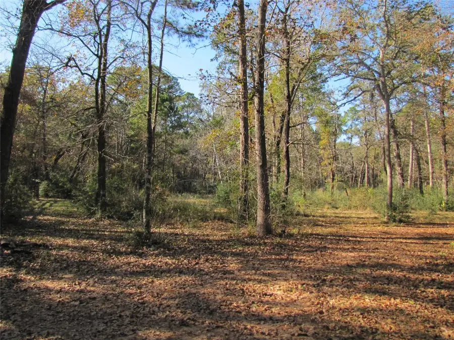 32602 Dogwood Trail, Magnolia, TX 77355 - #3