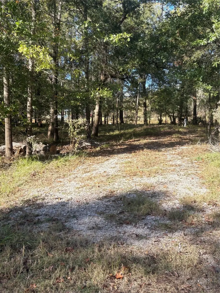 195 Center Street, Cleveland, TX 77327 - Image #3