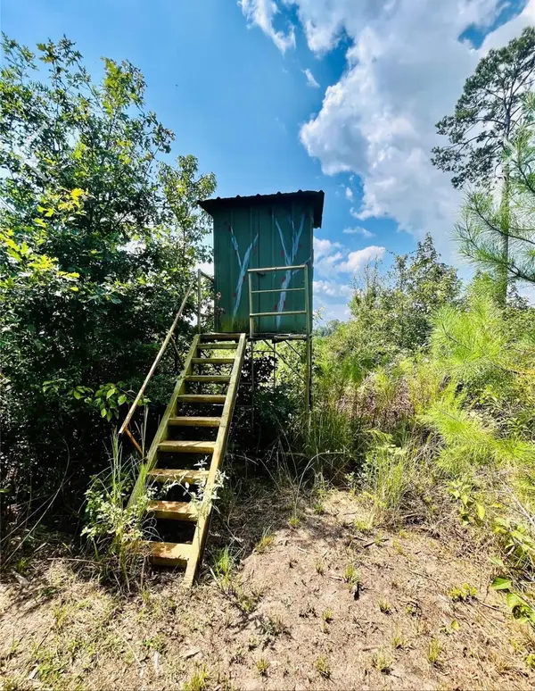 9 Nine Bridges Road, Corrigan, TX 75939
