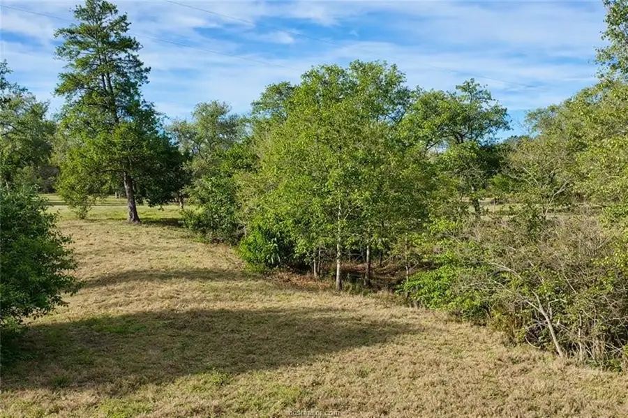 TBD S Fm 46 - 10 Acres, Franklin, TX 77856 - #2