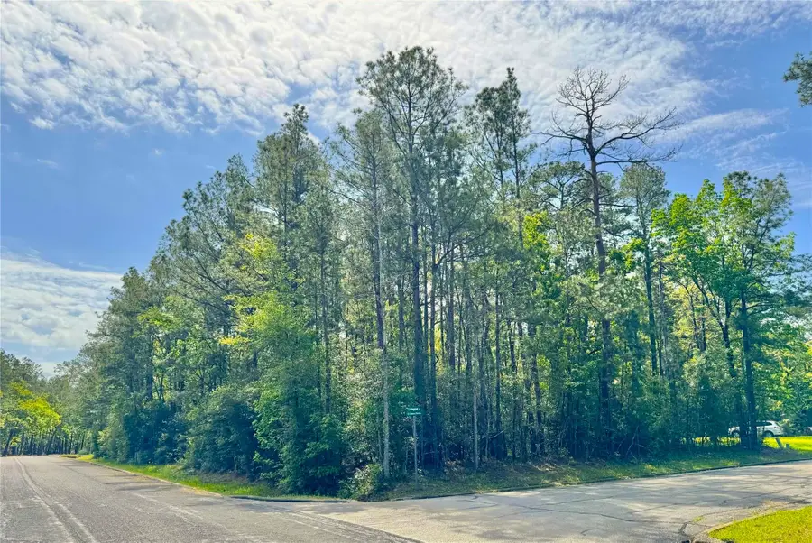 0 Queenswood Plaza, Huntsville, TX 77320 - #2