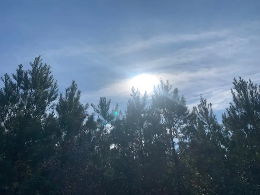 0 Nursery Road, Livingston, TX 77351 - Image #2